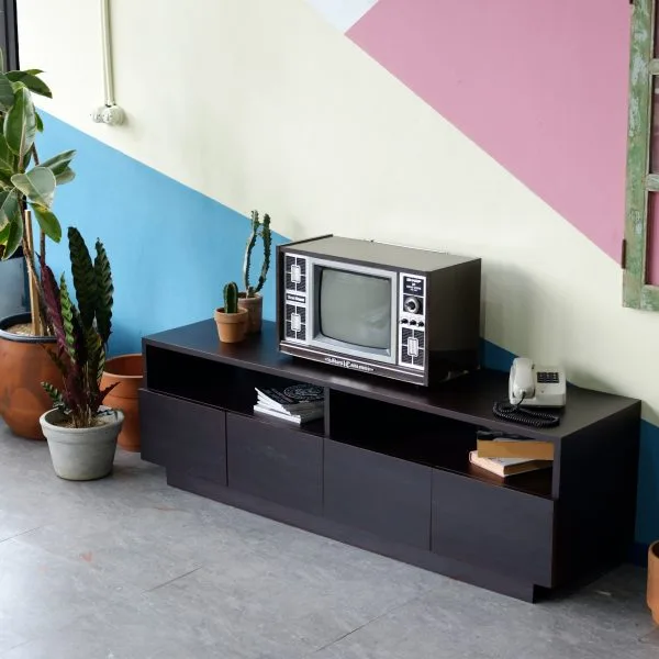 Firme Cabinet 2 scaled