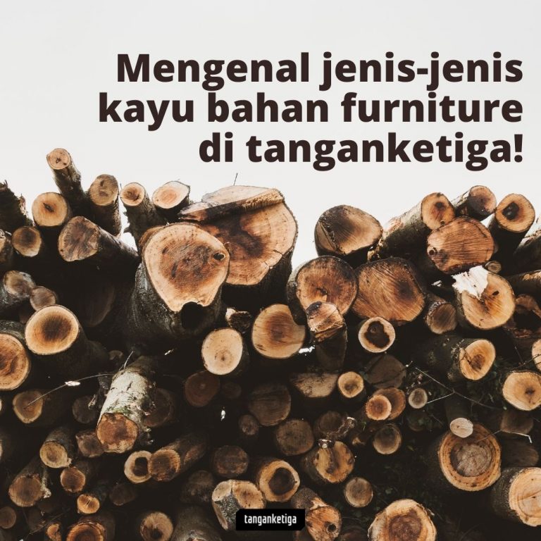 Mengenal Jenis-jenis Kayu Bahan Furniture Di Tanganketiga — Tanganketiga