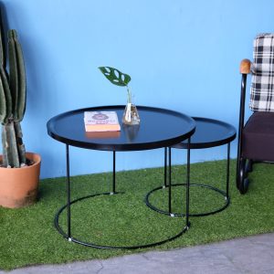 Twins Coffee Table 5