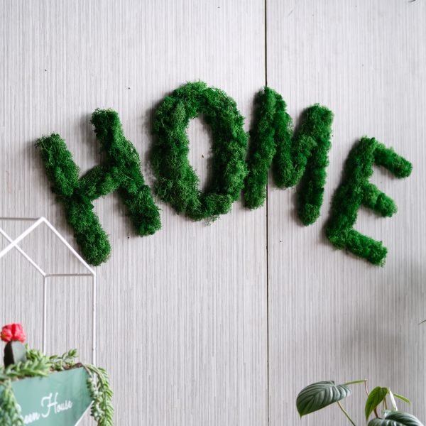 moss letter home 3 scaled