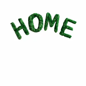MOSS LETTER HOME
