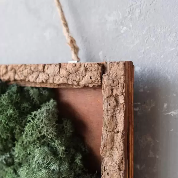 moss wall tree5 scaled