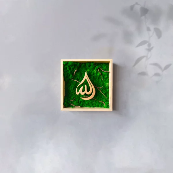 Kaligrafi Allah Background Lumut